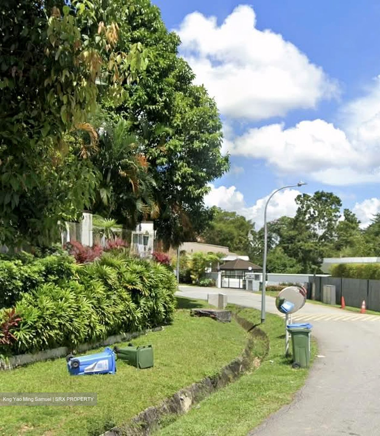 Leedon Park (D10), Detached #560796081